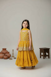 Royal Occasion Lehenga