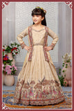 Luxurious Elegance Lehenga