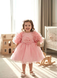 Girls Premium Light Pink  Party Frock with Rose & Ruffle Sleeves