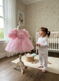 Girls Premium Light Pink  Party Frock with Rose & Ruffle Sleeves