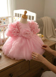 Girls Premium Light Pink  Party Frock with Rose & Ruffle Sleeves